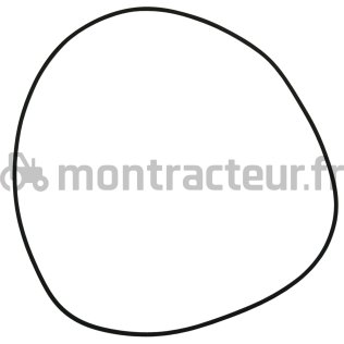 JOINT TORIQUE 216 X 2.62 MM