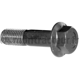 VIS TÊTE HEXAGONALE M12 - L 45 MM