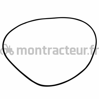JOINT TORIQUE 253.59 X 3.53 MM