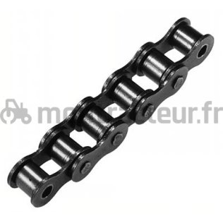 CHAINE A ROULEAUX 20B-1 - P 31.75 MM - 5 M