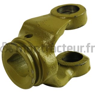 MÂCHOIRE (23.5 X 31) OOC - 22 X 54 - L1