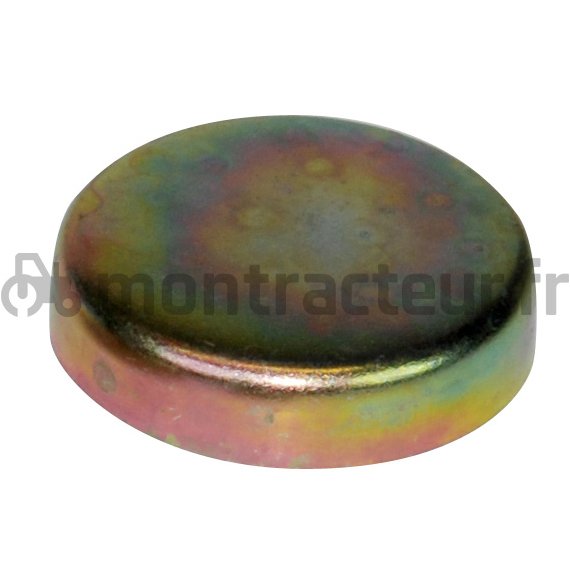 PASTILLE DE SABLAGE ACIER - 50.20 MM