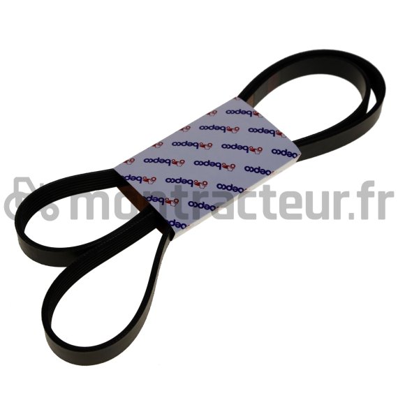 COURROIE PLATE POLY-V 6PK X 1725 MM