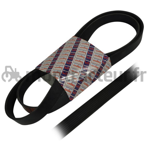 COURROIE PLATE 8 PK X 1950