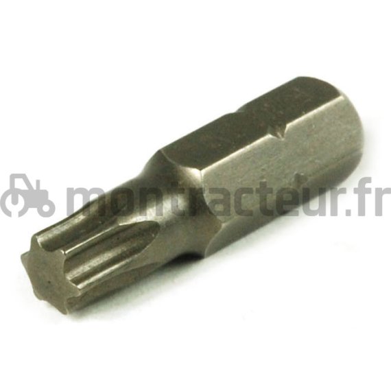 EMBOUT TORX T40 L. 30 MM
