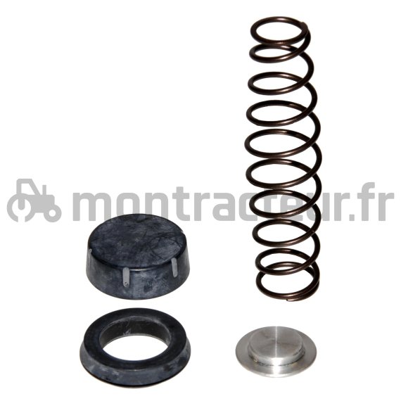 KIT DE RÉPARATION DE MAITRE CYLINDRE DE FREIN POUR TRACTEUR LANDINI - MASSEY FERGUSSON RÉF 1633118M91 - 1642034M91
