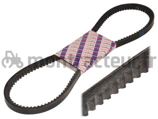 COURROIE TRAPÉZOÏDALE 13 X 655 LA