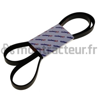 COURROIE PLATE POLY-V 6PK X 1725 MM