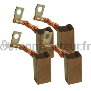 JEU BALAIS DE CHARBON POUR DEMARREUR ADAPTABLE FENDT - STEYR