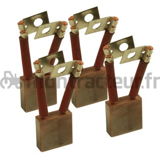 JEU BALAIS DE CHARBON POUR DEMARREUR ADAPTABLE STEYR