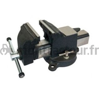 ÉTAU A BASE PIVOTANTE 4'' - 100 MM - SC37