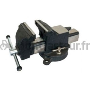 ÉTAU A BASE PIVOTANTE 8'' - 200 MM - SC37