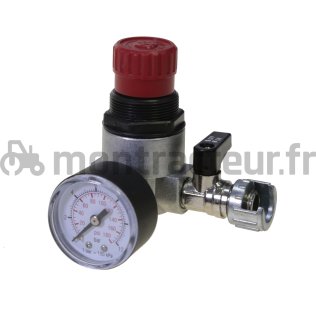 MICRO RÉDUCTEUR DE PRESSION 0-12 BARS - 1/4'' M