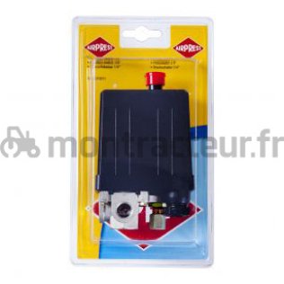 PRESSOSTAT PNEUMATIQUE 230V - 1/4
