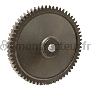 PIGNON Ø 139 MM - 61Z